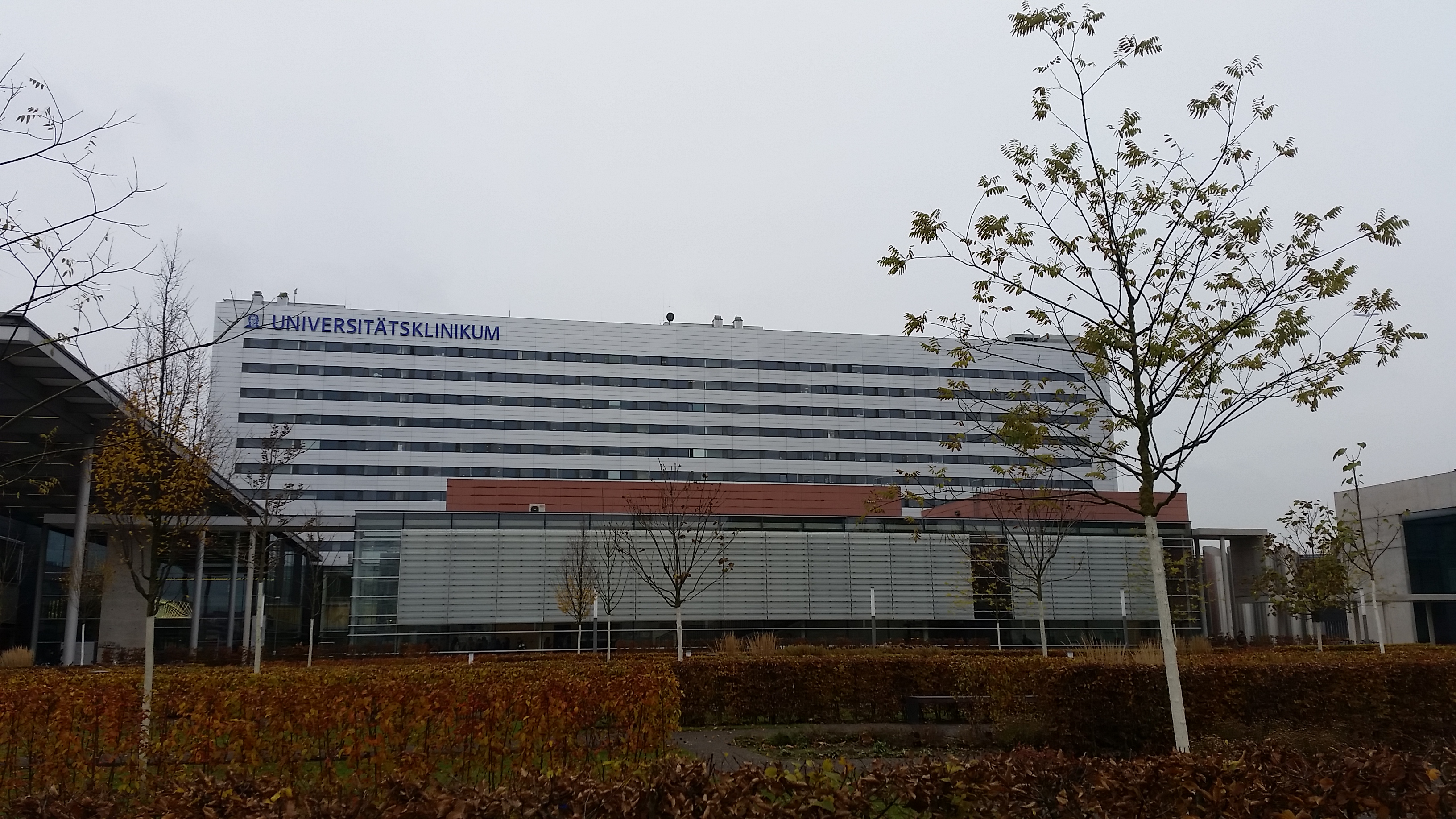 Universitätsklinikum Frankfurt – Bild 1